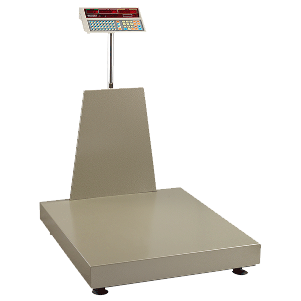 Baster BA - Elektronik Baskül
