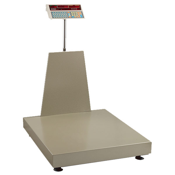 Baster BA - Elektronik Baskül